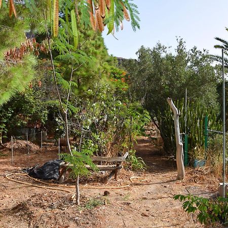 La Casa De Los Pinos Temisas المظهر الخارجي الصورة