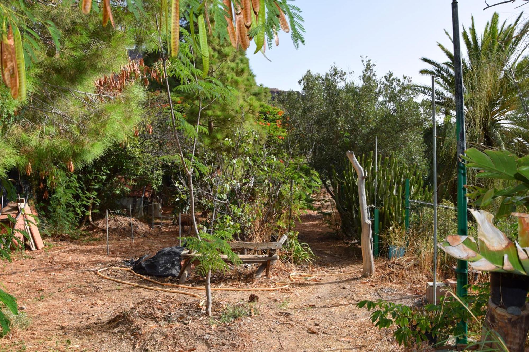 La Casa De Los Pinos Temisas المظهر الخارجي الصورة