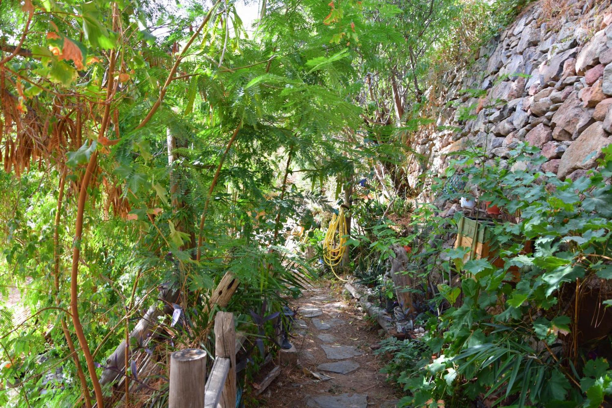 La Casa De Los Pinos Temisas المظهر الخارجي الصورة