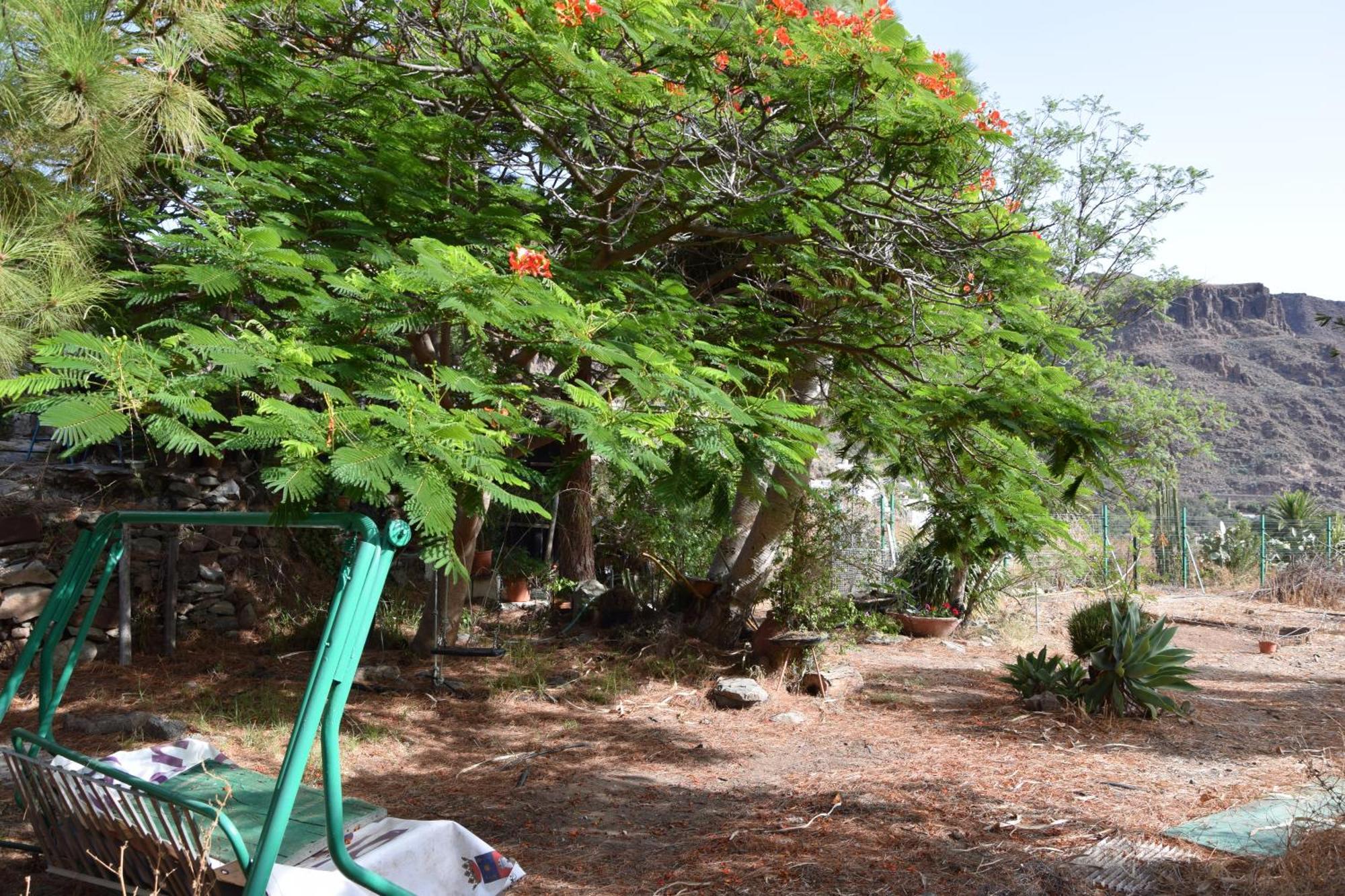 La Casa De Los Pinos Temisas المظهر الخارجي الصورة